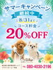 8/31まで！コース料金20%OFF「8/31までサマーキャンペーン継続中！コース料金20％OFF」