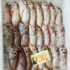 「魚魚市場鮮魚コーナーおすすめは「ビンチョウマグロ」です♪」