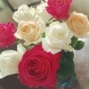 アクセスエナジェティック・フェイスリフト