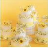 「【Flower birthday🌻】7・8月生まれはひまわり😃！」