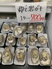 「岩牡蠣販売中です」
