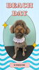 「Dog salon mofu mofu　余市町」