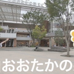 1. 【住みたい駅１位】流山おおたかの森駅ってどんな所？降りたことない駅に行ってみました！