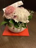 大好きな花屋さん、うさぎのアレンジ花「本日から、通常営業です‼️」