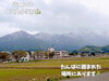 「自家栽培の南魚沼産コシヒカリ！南魚沼市の食楽 嘉路季さんで、ボリューム満点な定食いただきました。」
