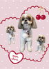 「Dog salon mofu mofu　余市町」