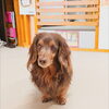 ライラちゃん「今日のお友達」