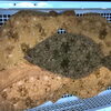 「魚魚市場鮮魚コーナーおすすめは「ノドグロ」です」