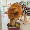 うめちゃん「今日のお友達」
