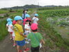 田んぼの中に、何かいるかな～？「夏のお散歩♬＆PTAおはなし会」