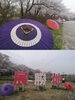 「みちのく三大桜名所「展勝地」に行って来ました！」
