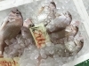 「魚魚市場鮮魚コーナーおすすめは「鯛」です♪」