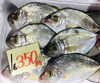 「魚魚市場鮮魚コーナーおすすめは「北海道産ホタテ」です♪」