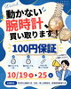 「【ARIFT誌 掲載】10月店舗限定イベント開催！」