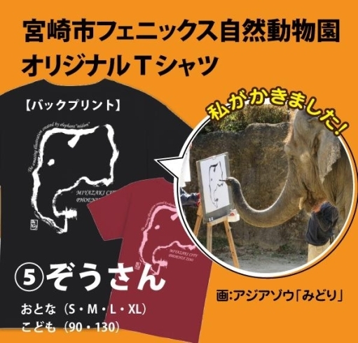 オリジナルTシャツ　⑤ぞうさん「動物園のオリジナルＴシャツ！【宮崎市/動物園/おみやげ/観光】」