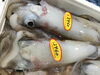 「魚魚市場鮮魚コーナーおすすめは「ヤズ(ぶり)」です♪」