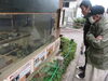 「動物園へ行きました♬」
