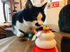 「猫カフェKuro 新年のごあいさつ！」