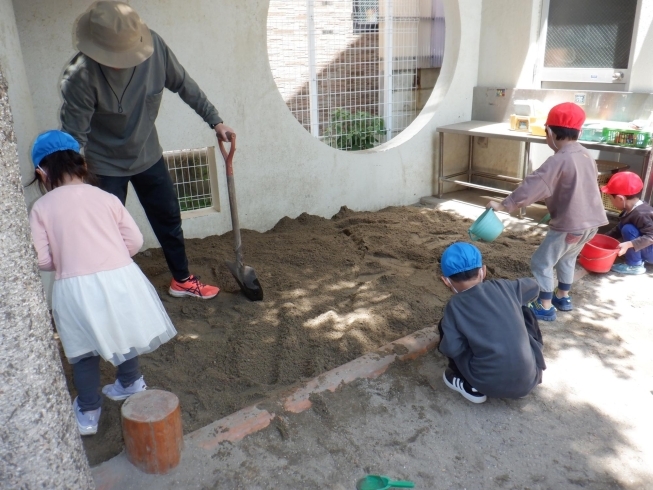 「砂場の砂運びをしました！【松山市の認定こども園・児童クラブ　立花こども園】」