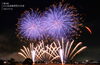 第69回にいはま納涼花火大会（2026年）青紫の大玉花火と地上で扇状に広がる金色の花火