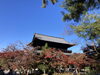 南禅寺「京都紅葉紀行②日目」