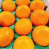 「愛媛県産　「せとか」 の入荷が今シーズンも始まってまーす」