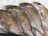 「魚魚市場鮮魚コーナーおすすめは「岩かき」です♪」
