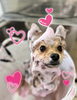 ふうたくん🩷「ピンクパック＆Happy Valentine 💕」