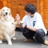 【開店】『PET PHOTO STUDIO tottel.』が川沿町にオープン！