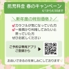 気になるお子さまの一時預かりを今こそ「春キャン始まってます!!」