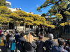 「100本以上の日本酒を松に注ぐ！柴又帝釈天☆東京都指定天然記念物『瑞竜の松（ずいりゅうのまつ）』への寒肥（かんぴ）が行われました♪［2023年2月25日(土）10時］」