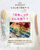 「一之江で開催「じぶん色×花色アート」ドライフラワーと「じぶん色」でキャンバスに彩ろう！【ColoRTerrace色彩知育小岩教室　野口絵理】」
