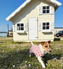 北欧デザインのかわいい小屋で至福のひととき😌🏠「【4月4日～小屋セール開催】北欧ガーデンハウスの人気「キッズハウスシリーズ」が特別価格！」