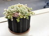 3Dプリンターで作成したオリジナル植木鉢「3Dプリンタでつくるオリジナル鉢のご紹介🌿 — 多肉＆観葉にぴったり！」