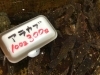「魚魚市場鮮魚コーナーおすすめは「羽ガツオ・ビンチョウマグロ」です♪」