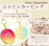 「12/25(日)八王子骨董アンティークハンドメイドフェア」