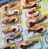 「魚魚市場鮮魚コーナーおすすめは「有頭えびとサザエのセット」「サザエとヒオウギ貝のセット」です♪」