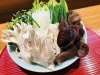 旬の野菜とキノコも旨い「食べやすいと好評☆人気のすっぽんコース☆ご予約承り中」
