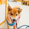 まるちゃん「今日のお友達」