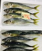 「魚魚市場鮮魚コーナーおすすめは「サゴシ・ヤイト」です♪」