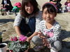 みてみて！できたよー「親子で寄せ植え体験！　～行方市立北浦幼稚園～」