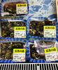 「本日特売日」