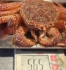 「美味しいお酒とお料理ご用意しています♪」