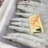 「魚魚市場鮮魚コーナーおすすめは「うちわエビ・オジサン」です♪」