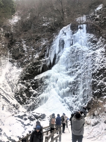 白猪の滝・氷瀑「【観光情報】白猪の滝、氷瀑しています！」