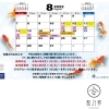 「8月11日、12日、13日、14日もモデルハウス見学できます♪」