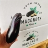 「今年も「MAGONOTE(まごのて)ファーム」さんの「トゲなしなす」の入荷が始まってますよー」