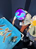千歳水族館でお魚釣りの遊びをしている様子🐟「😊まんまる日記😊（10月1～15日）」