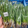 「地元木曽産の旬の野菜が入荷しました！」