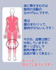 膝まわりの冷えに！「夏なのに、膝が冷たい⁈」